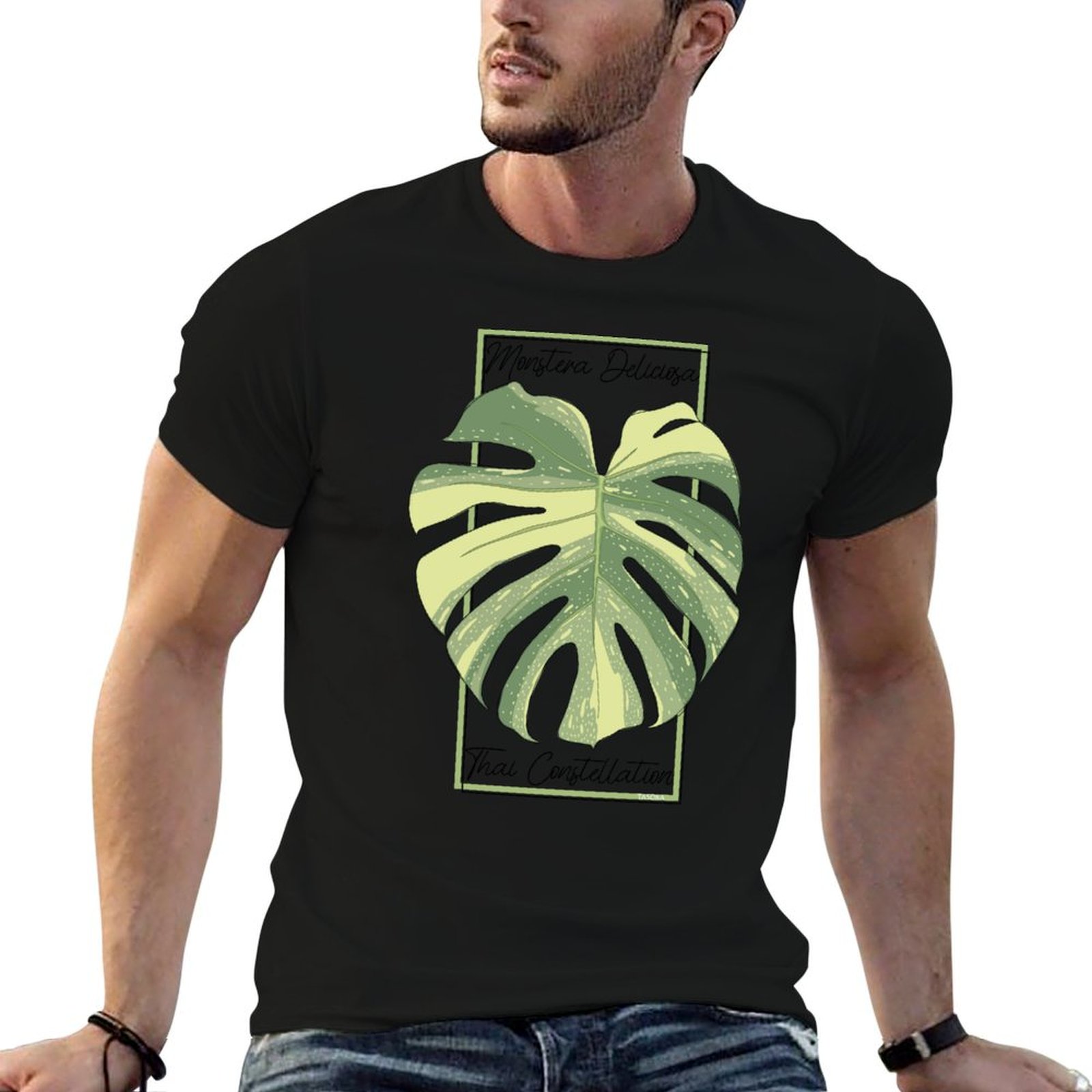 Monstera Thai Constellation Bo - Monstera Thai Constellation recensie en prijs