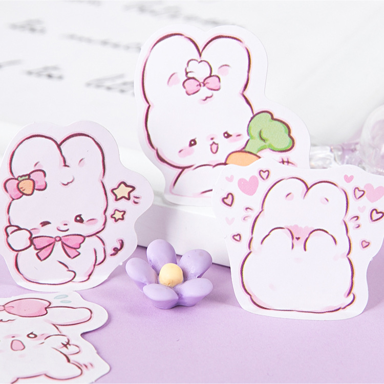 45 pcs/box Cute rabbit daily K - Planned Parenthood recensie en prijs