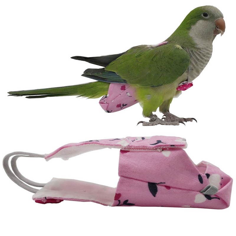 Parrot Diaper with Bowtie Cute - Plant Parenthood recensie en prijs