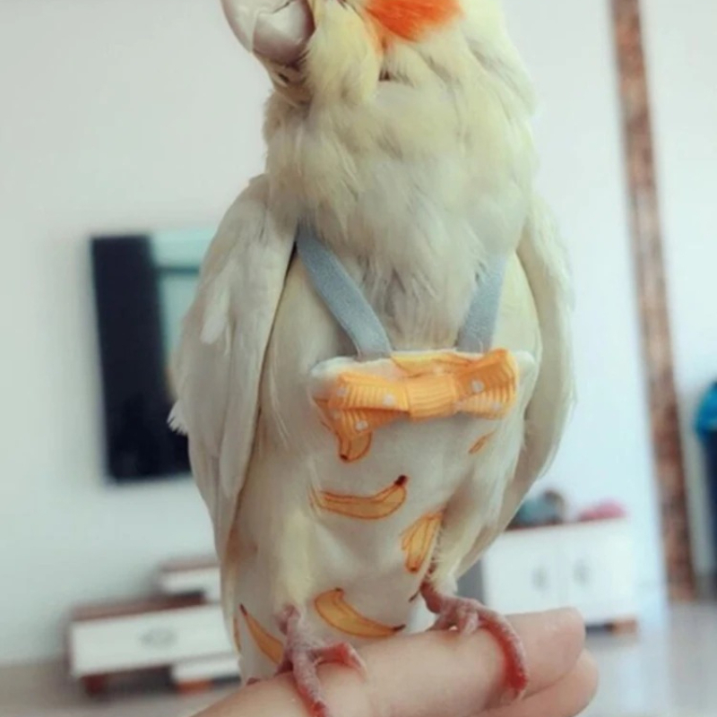 Parrot Diaper with Bowtie Cute - Plant Parenthood recensie en prijs