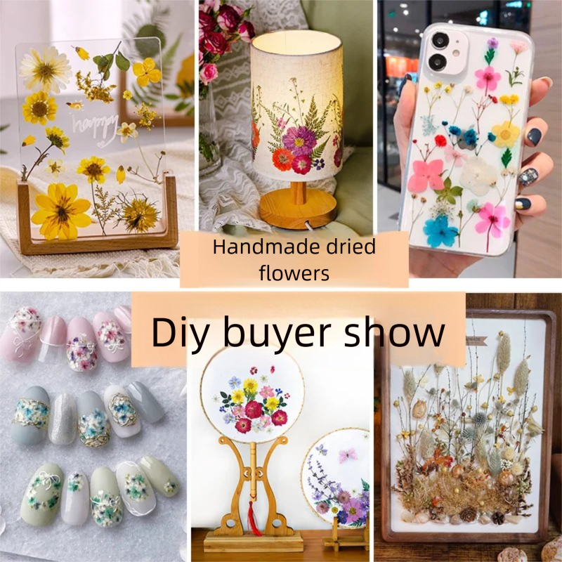 Mixed Dried Flowers, Pressed F - Parent Of Plant recensie en prijs