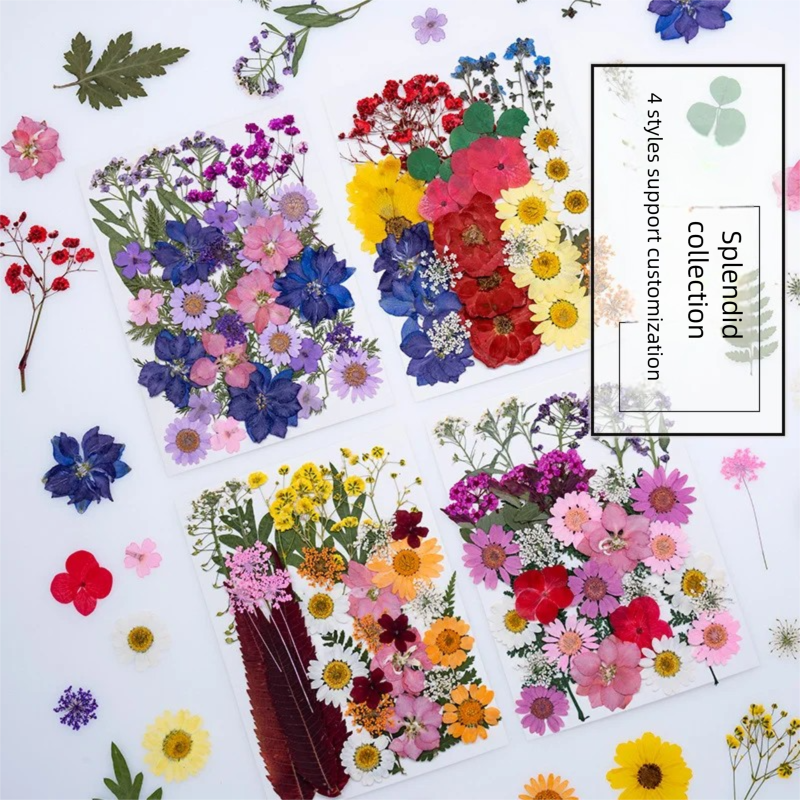 Mixed Dried Flowers, Pressed F - Parent Of Plant recensie en prijs