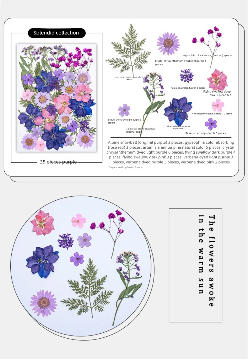 Mixed Dried Flowers, Pressed F - Parent Of Plant recensie en prijs