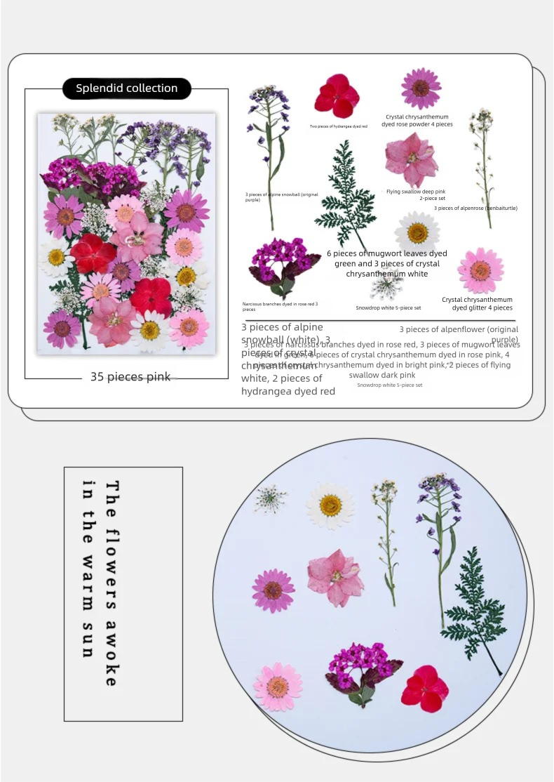Mixed Dried Flowers, Pressed F - Parent Of Plant recensie en prijs