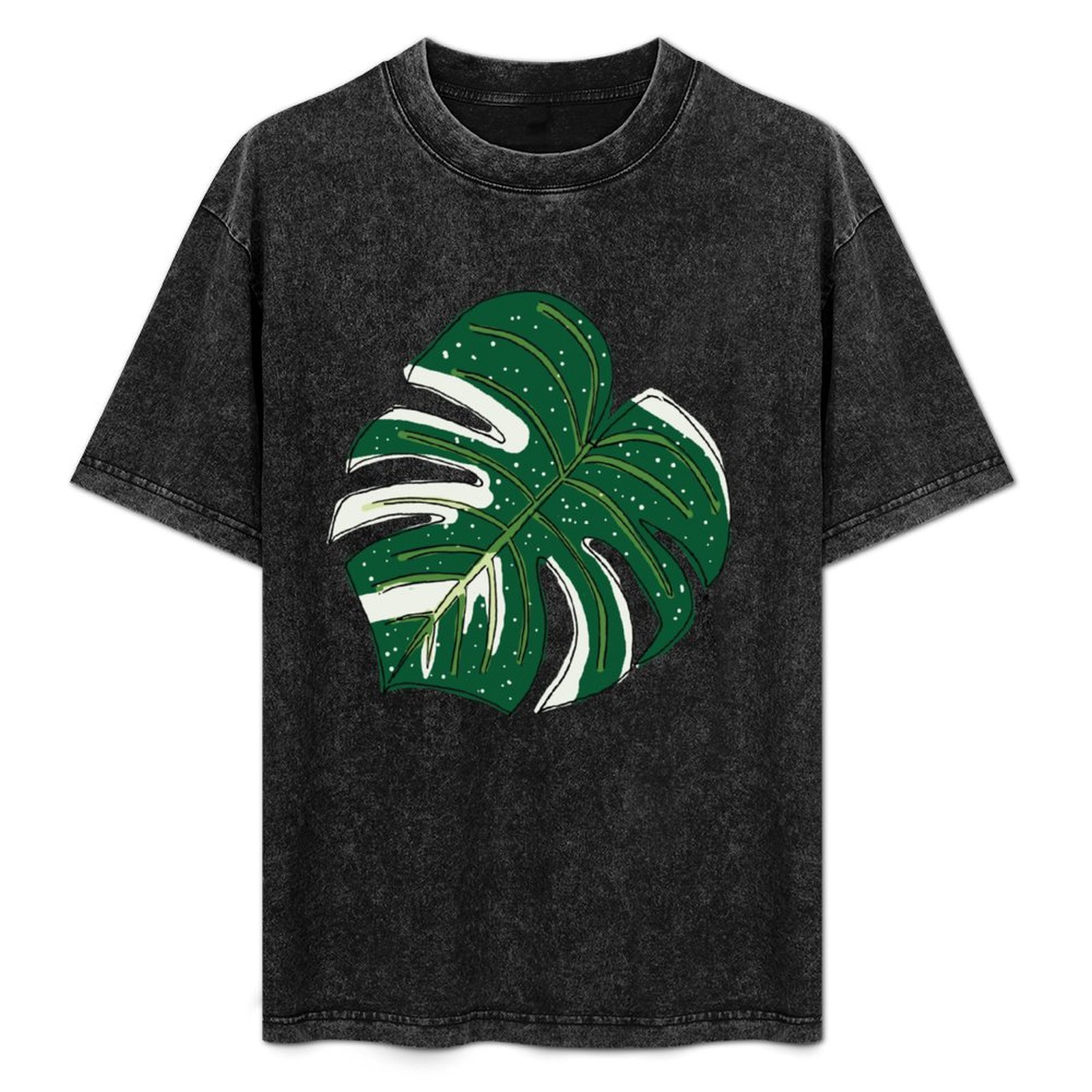 Monstera Thai Constellation T- - Monstera Thai Constellation recensie en prijs