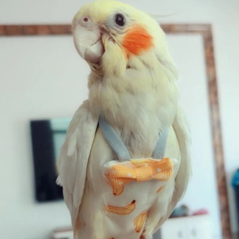 Parrot Diaper with Bowtie Cute - Plant Parenthood recensie en prijs