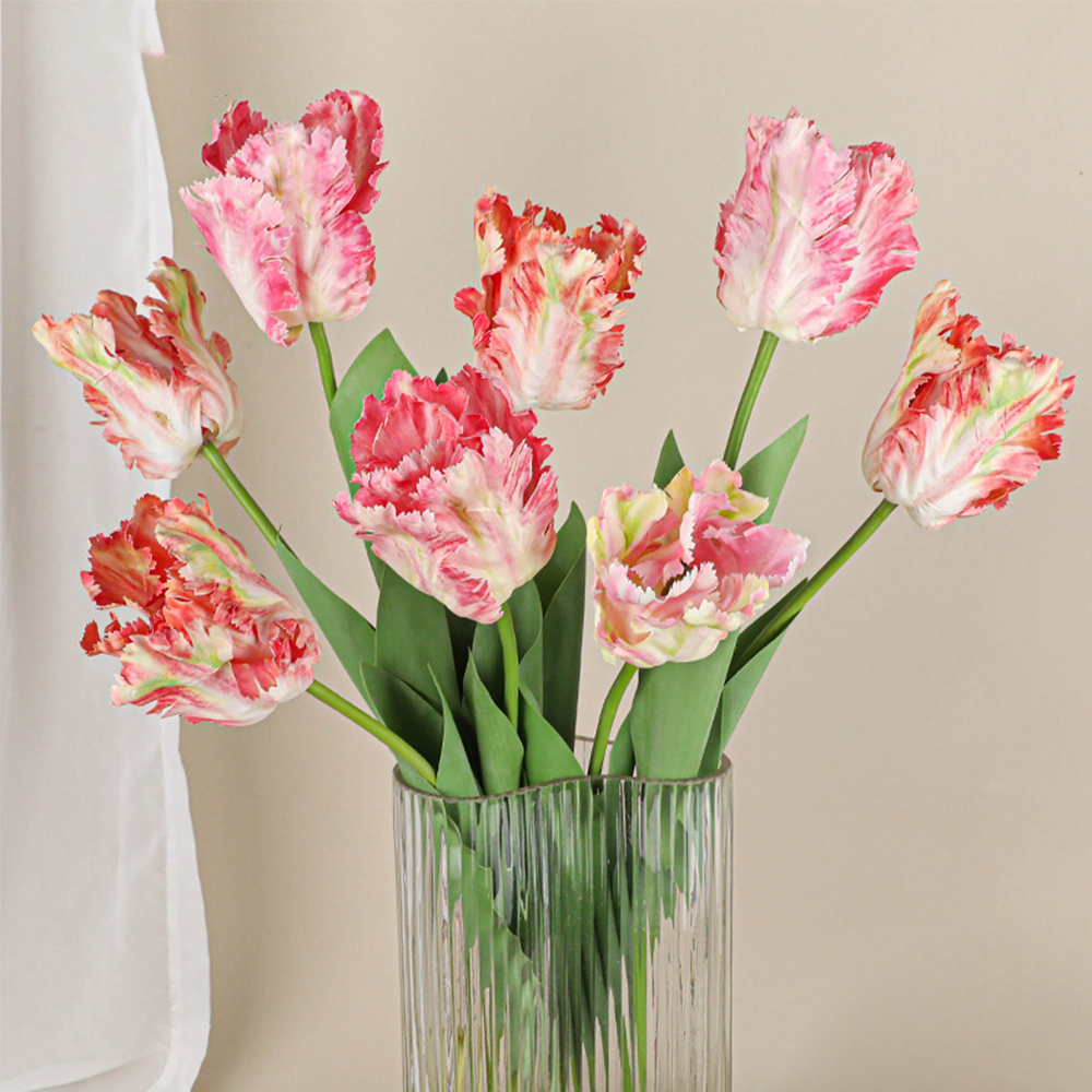 Luxury 3D Parrot Tulip branch  - Plant Parenthood recensie en prijs