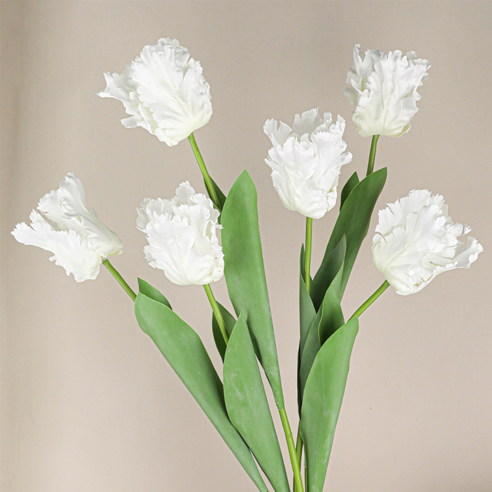 Luxury 3D Parrot Tulip branch  - Plant Parenthood recensie en prijs