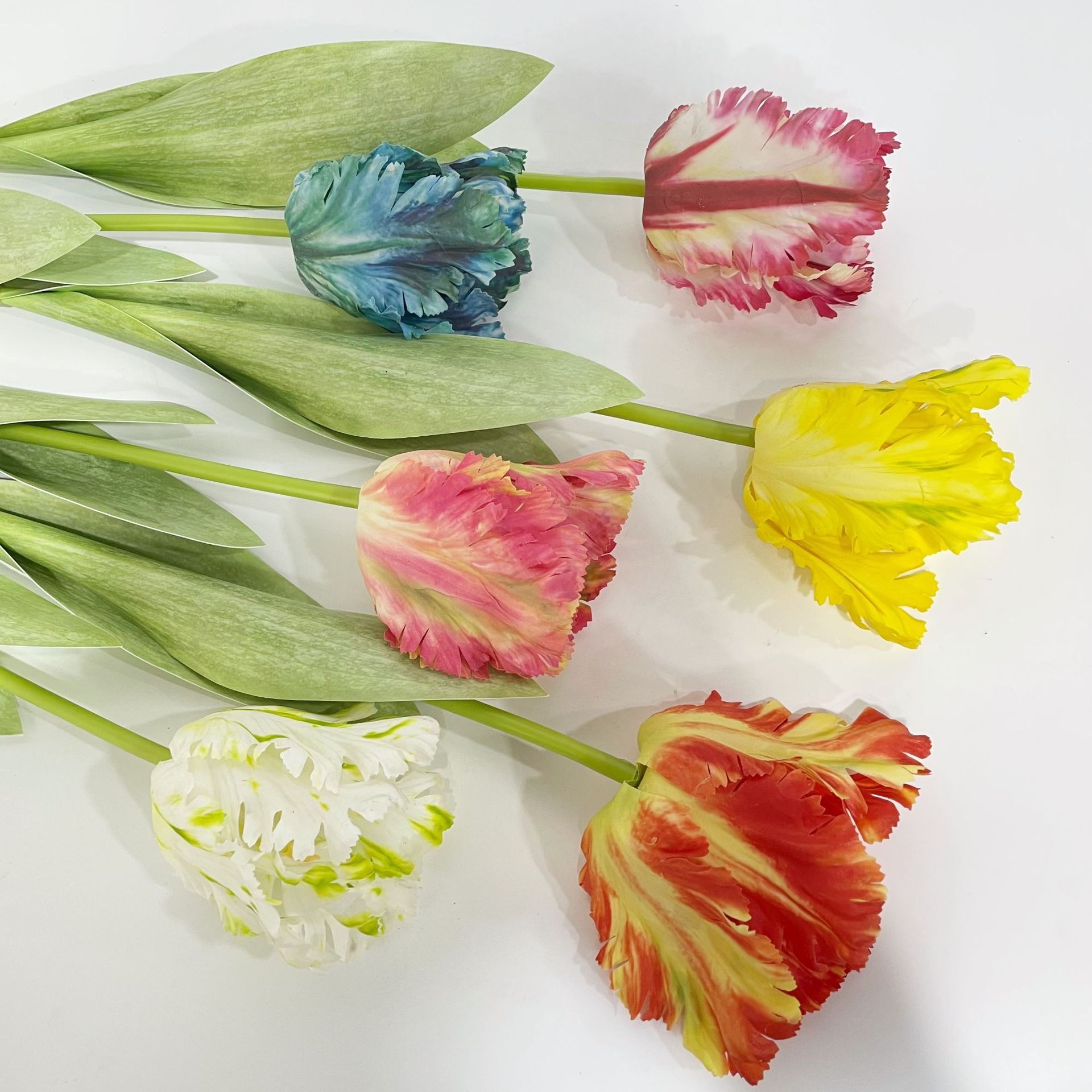 Luxury 3D Parrot Tulip branch  - Plant Parenthood recensie en prijs