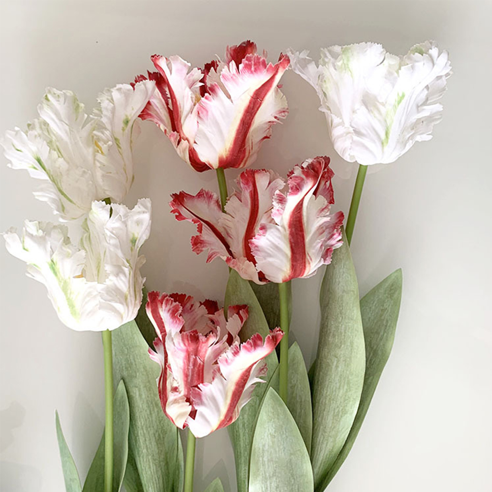 Luxury 3D Parrot Tulip branch  - Plant Parenthood recensie en prijs