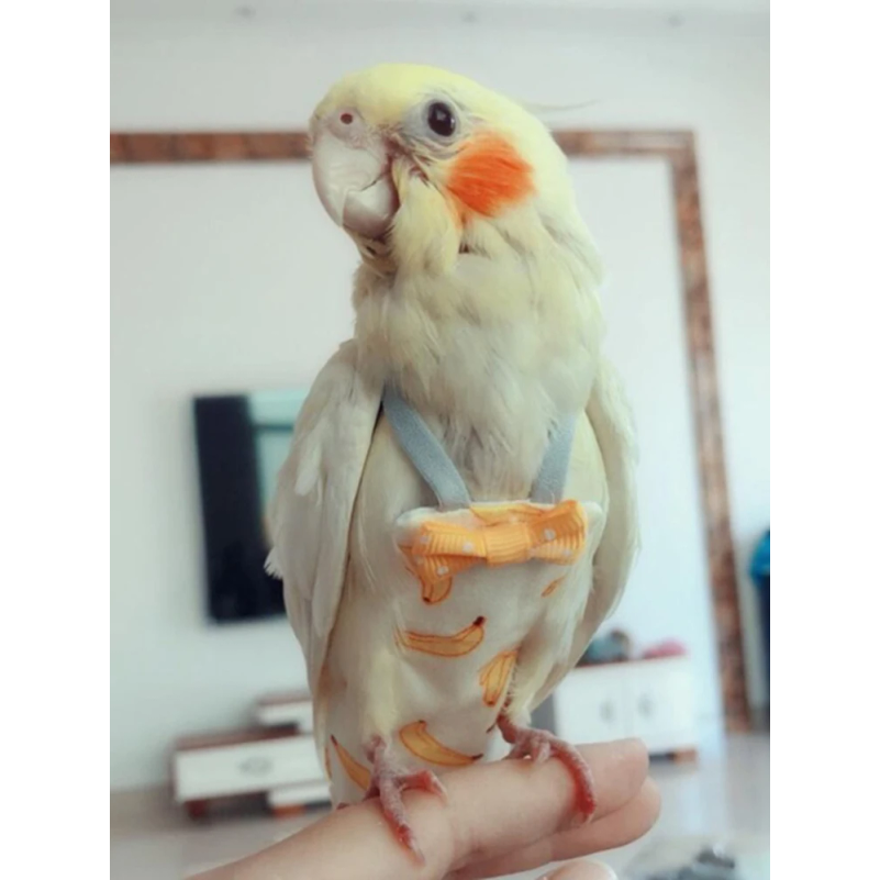 Parrot Diaper with Bowtie Cute - Plant Parenthood recensie en prijs