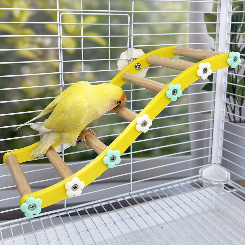 Parrot Climbing Ladder Bird Fl - Plant Parenthood recensie en prijs