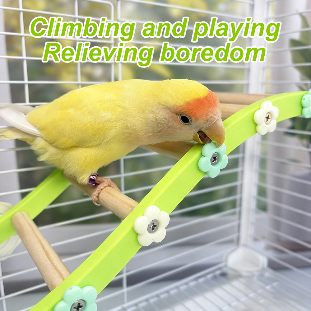 Parrot Climbing Ladder Bird Fl - Plant Parenthood recensie en prijs