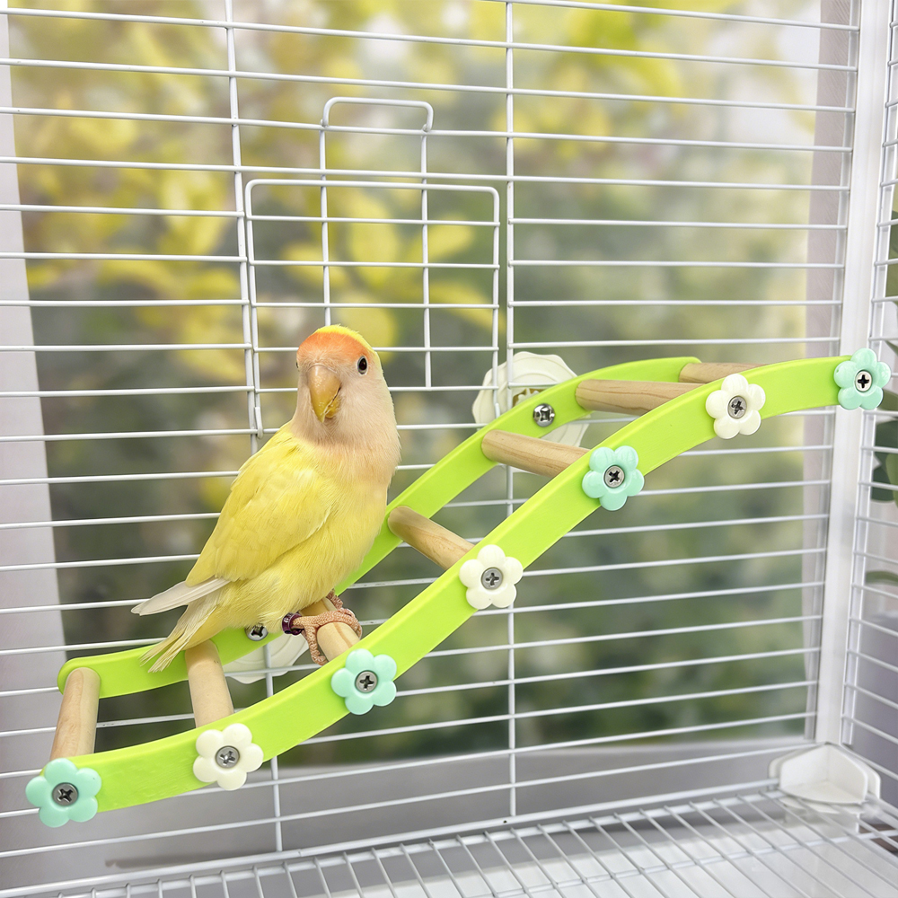 Parrot Climbing Ladder Bird Fl - Plant Parenthood recensie en prijs